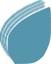 786 All In One Service logo