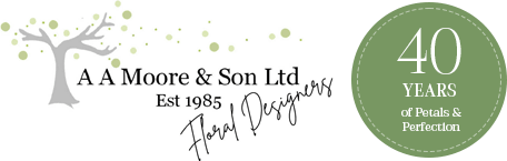 A A Moore & Son Ltd logo