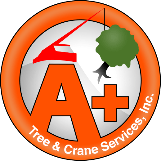 A+ Tree & Crane, Inc.