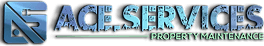 Ace Dot Services Limited logo