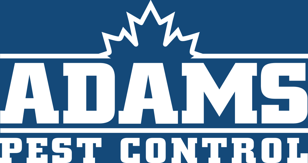 Adams Pest Control Moncton logo