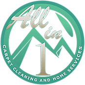All In One Carpet Cleaning & Home Services logo