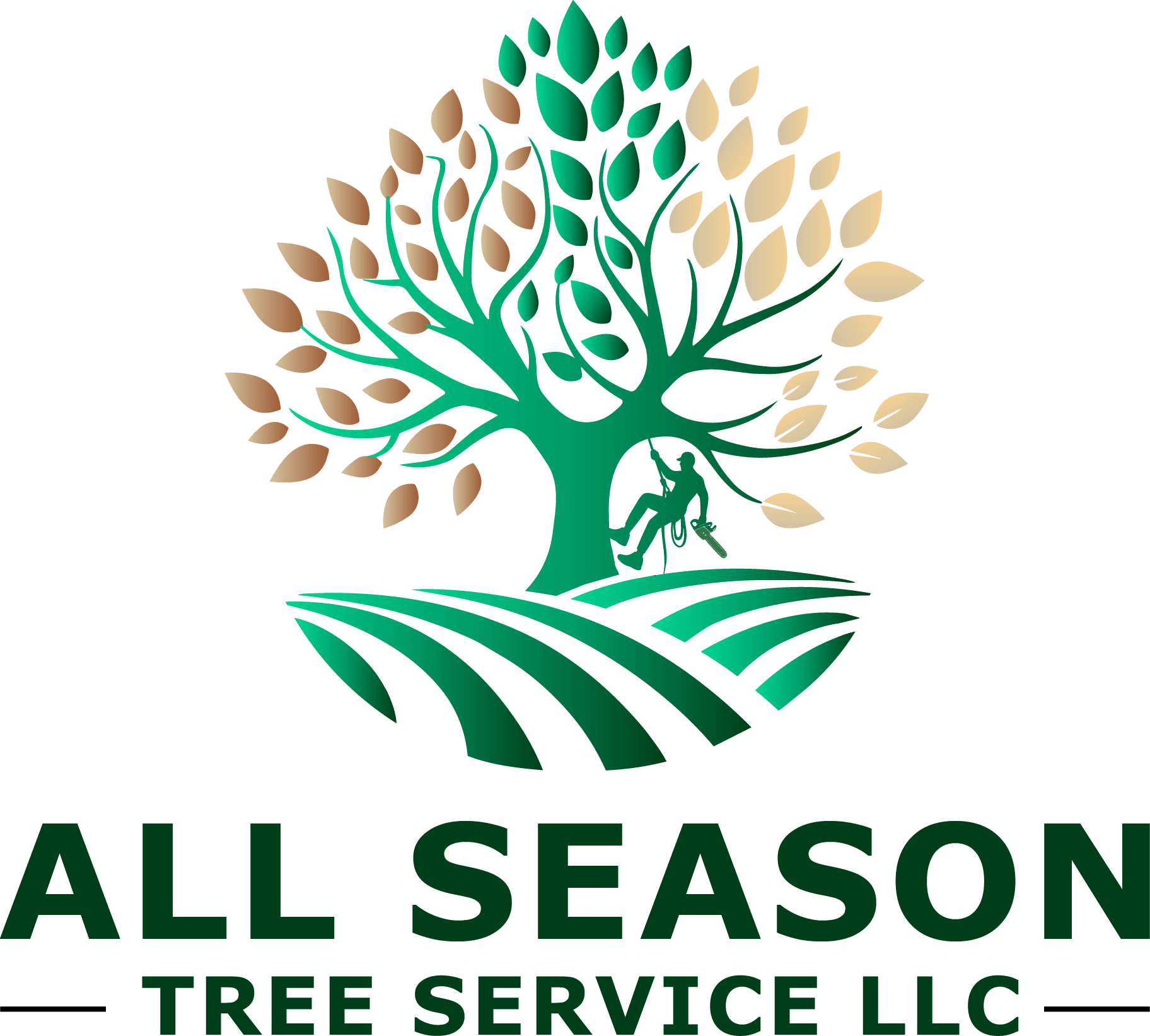 All Season Tree Service & Landscaping