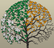 All Seasons Lawn & Landscaping logo