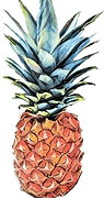 Aloha Event DJ