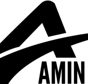 Amin Driving School logo