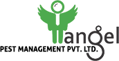 Angel Pest Management Pvt. Ltd.