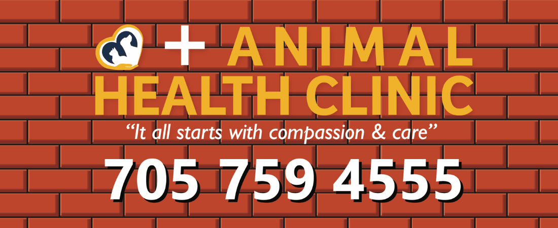 Animal Health Clinic logo