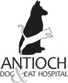 Antioch Dog & Cat Hospital
