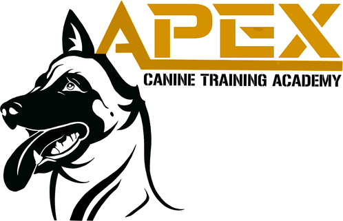APEX Canine Training Academy