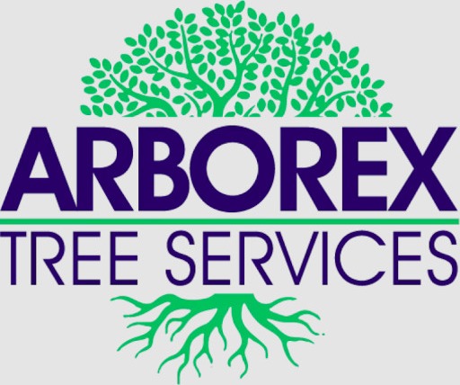Arborex Tree Services
