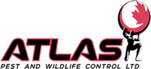 Atlas Pest and Wildlife Control, Ltd.
