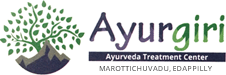 Ayurgiri Ayurveda Treatment Center