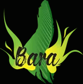 Bara Food Tanjong Pagar logo