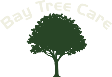 Bay Tree Care logo