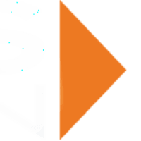BDS Huon logo