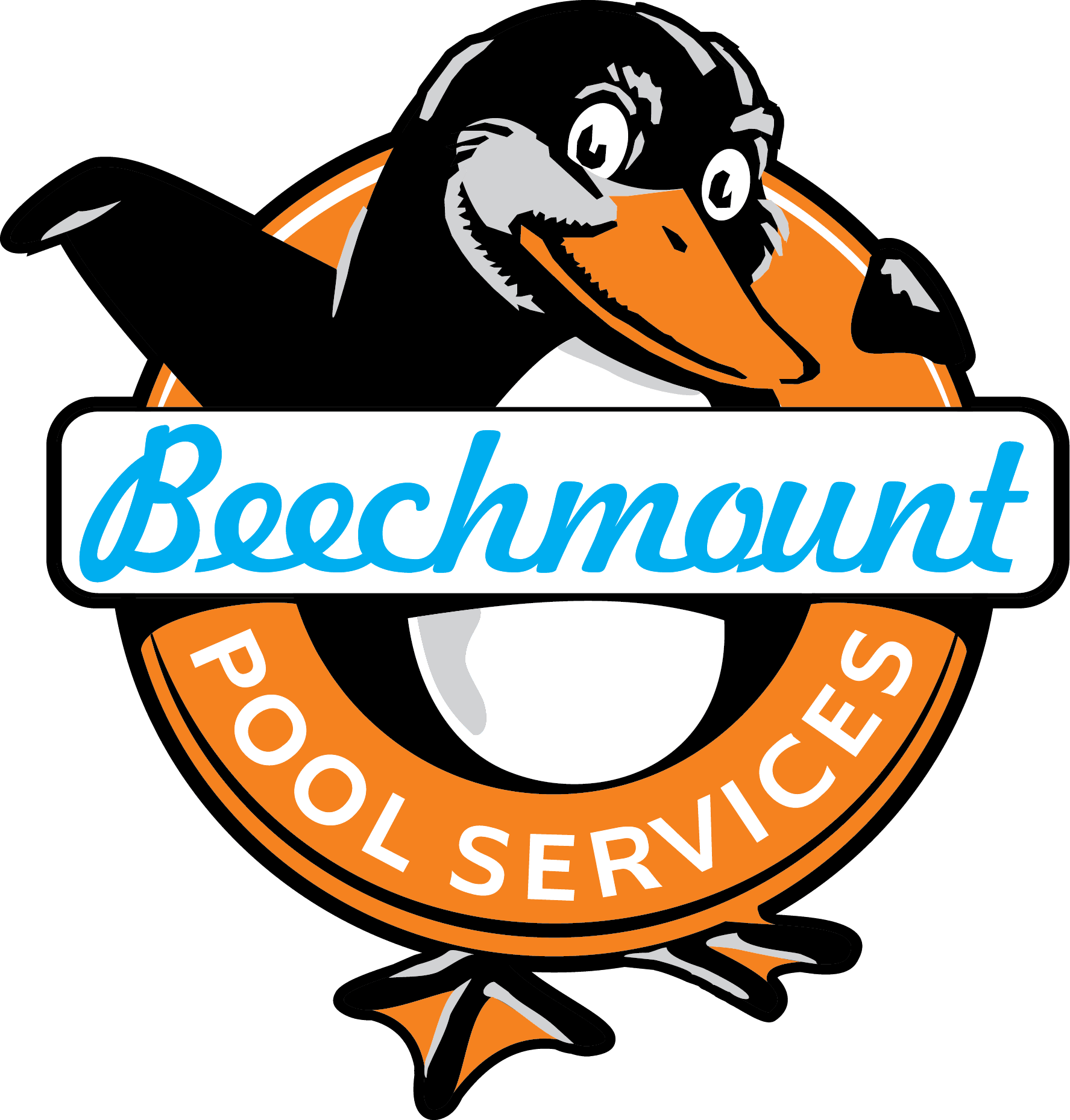 Beechmount Pool Services