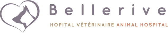Bellerive Hôpital Vétérinaire Animal Hospital logo
