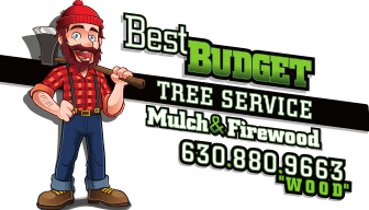 Best Budget Tree Service Firewood & Mulch logo