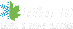 Big D Lawn & Snow Services logo