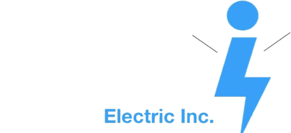 BigGuy Electric Inc.