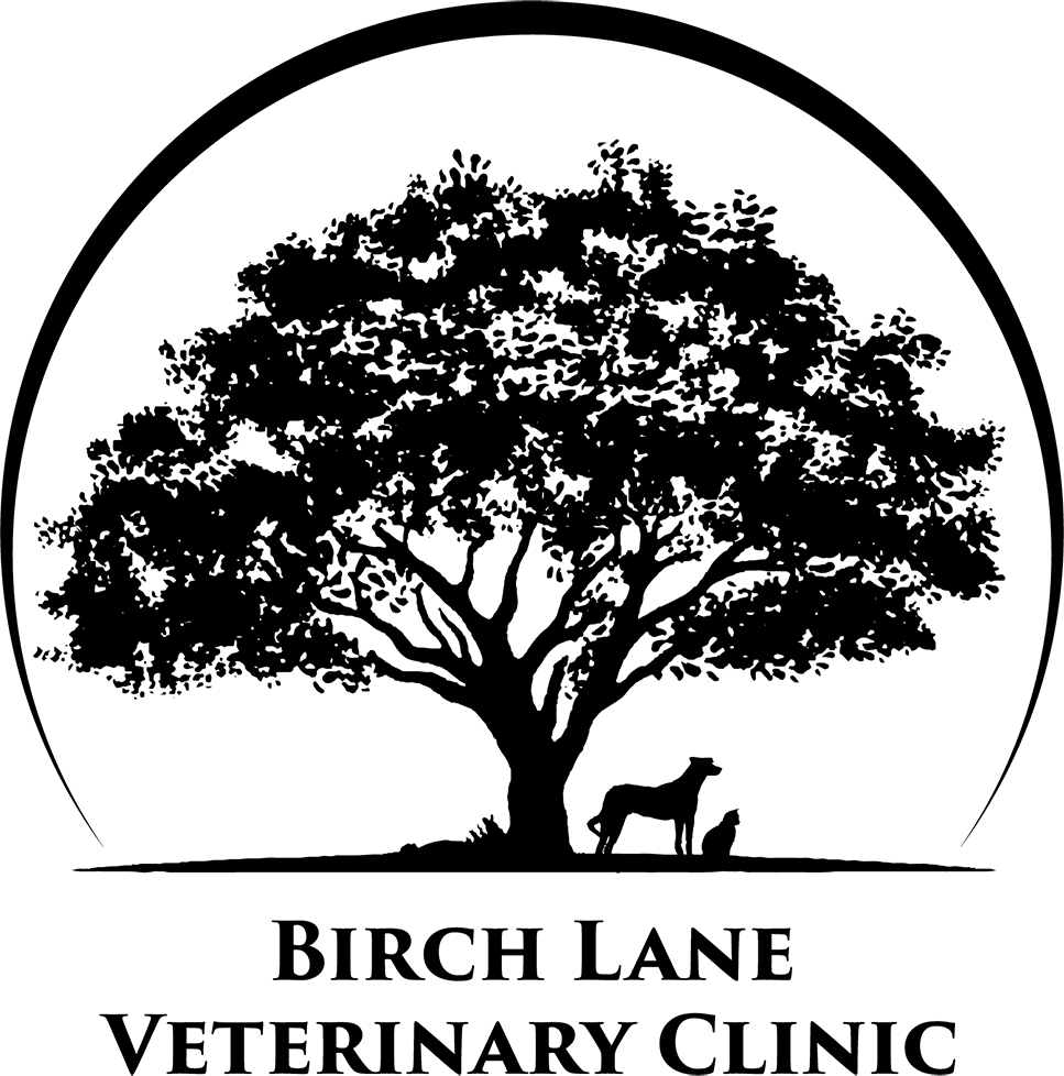 Birch Lane Veterinary Clinic logo