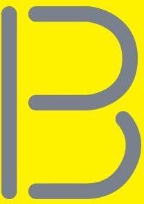 Bison Print Limited logo