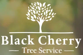 Black Cherry Tree Service logo