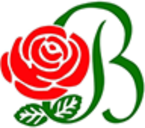Bloomingdays Flower Shop logo