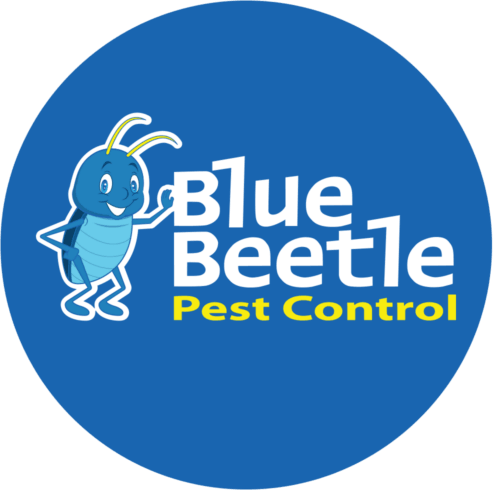 Blue Beetle Pest Control logo