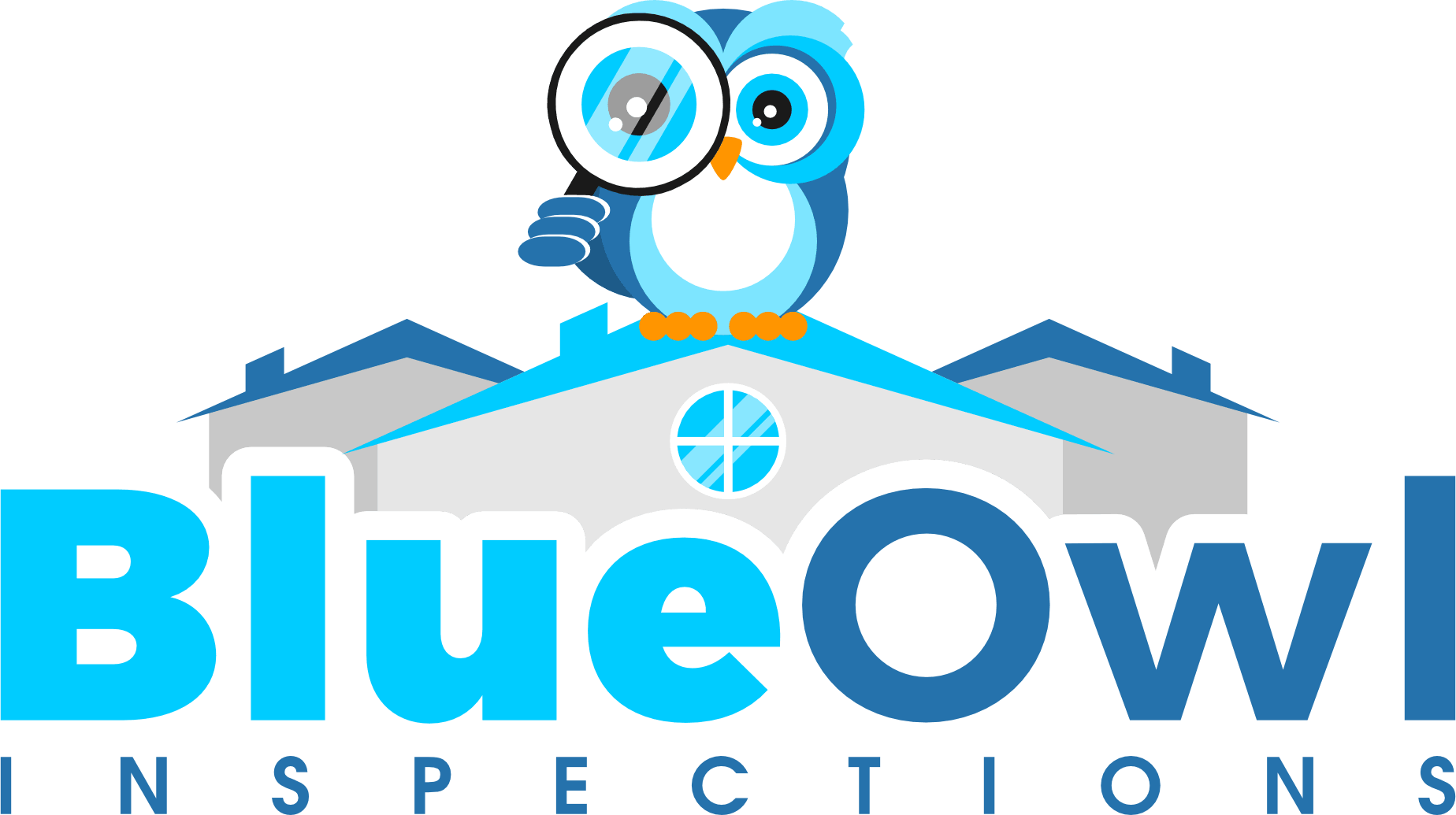 Blue Owl Inspections