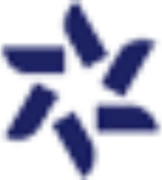 Blue Star New Zealand logo