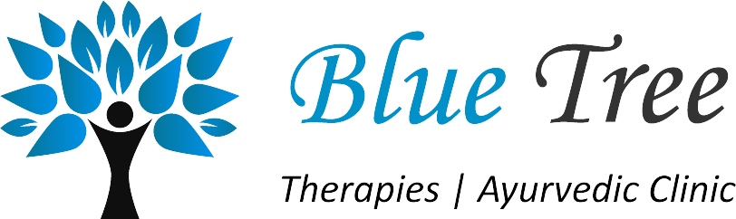 Blue Terra Spa Indirapuram logo