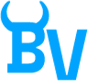 Blue Vikings Landscaping and Construction logo