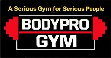 Body Pro Gym Hamilton logo