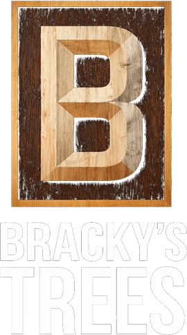Bracky's Trees logo