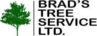 Brad's Tree Service