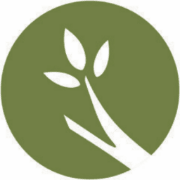 Branch Management logo