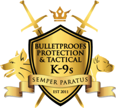 BulletproofK9s