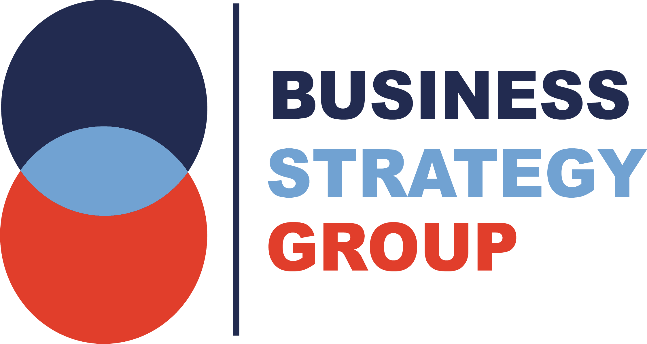 Business Strategy Group Ltd logo