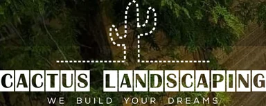 Cactus Landscaping
