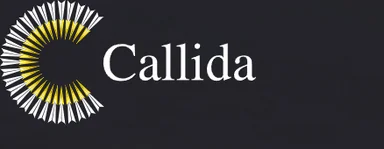 Callida Consulting logo