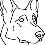 Canine Balance Training