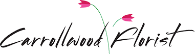 Carrollwood Florist