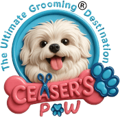 Ceaser's Paw logo