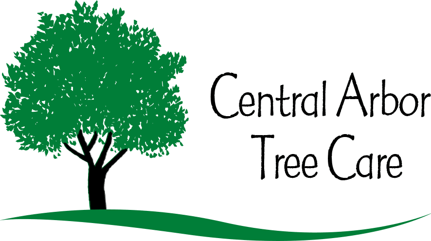 Central Arbor Tree Care logo
