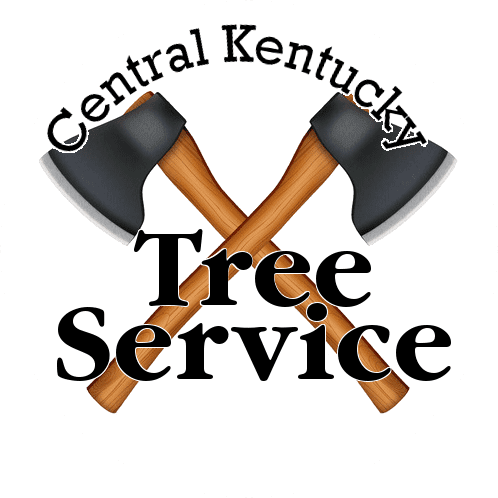 Central KY Tree Service