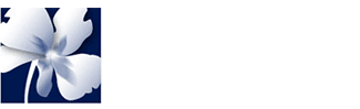 Claudette Fleuriste