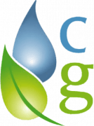 Clean Green Carpet Cleaning LLC