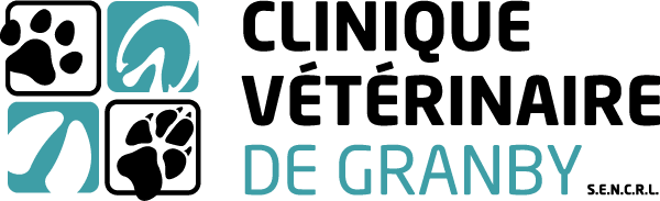Clinique Vétérinaire de Granby